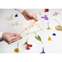 Bloemenpers Carmela Bogman