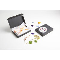 Bloemenpers Carmela Bogman